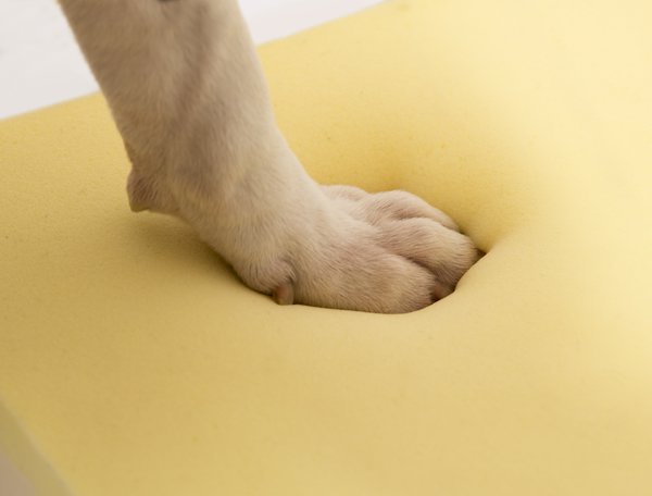 DOG-BED MEMORY FOAM CUT TO SIZE - The 